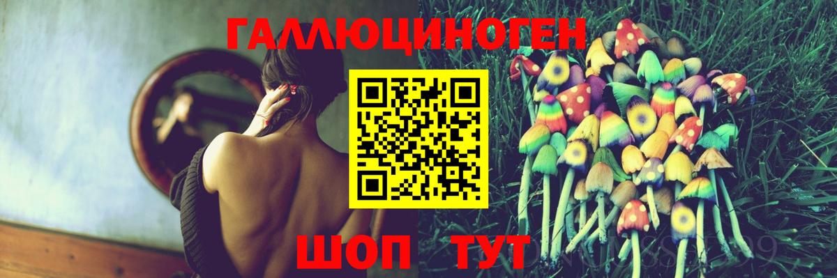 Галлюциногенные грибы Psilocybe Шебекино