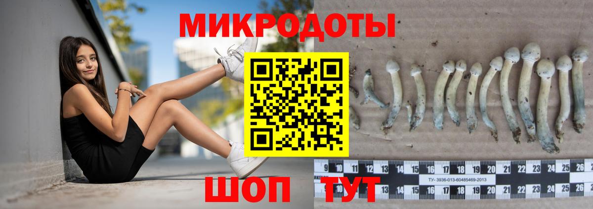 купить наркотики сайты  Вход с VPN  Шебекино  Галлюциногенные грибы Psilocybine cubensis 