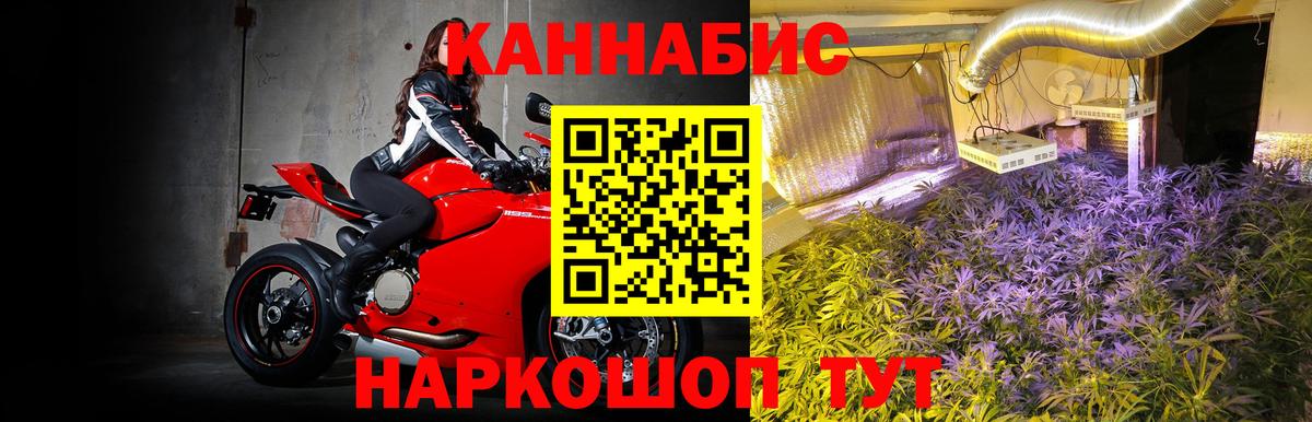 Канабис семена  МАРИХУАНА планчик  Шебекино  Вход с VPN  Шишки марихуана конопля  Шишки марихуана Bruce Banner 